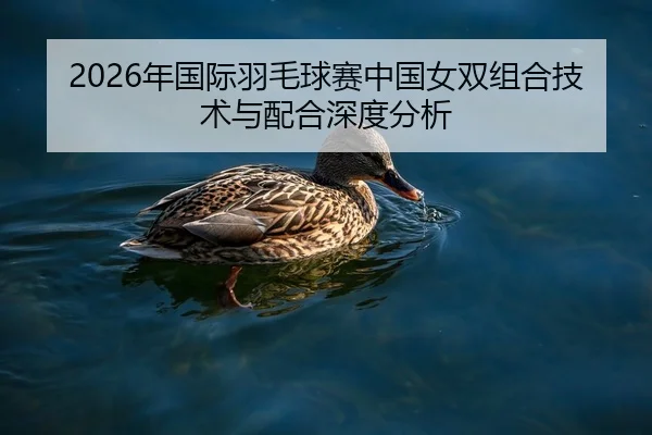 2026年国际羽毛球赛中国女双组合技术与配合深度分析（BBIN）