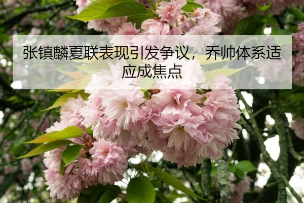zhang-zhen-lin-xia-lian-biao-xian-yin-fa-zheng-yi-qiao-shuai-ti-xi-shi-ying-cheng-jiao-dian-3-181.jpg