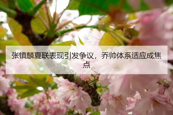 张镇麟夏联表现引发争议，乔帅体系适应成焦点