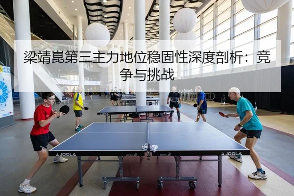 liang-jing-kun-di-san-zhu-li-di-wei-wen-gu-xing-shen-du-pou-xi-jing-zheng-yu-tiao-zhan-3-777.jpg