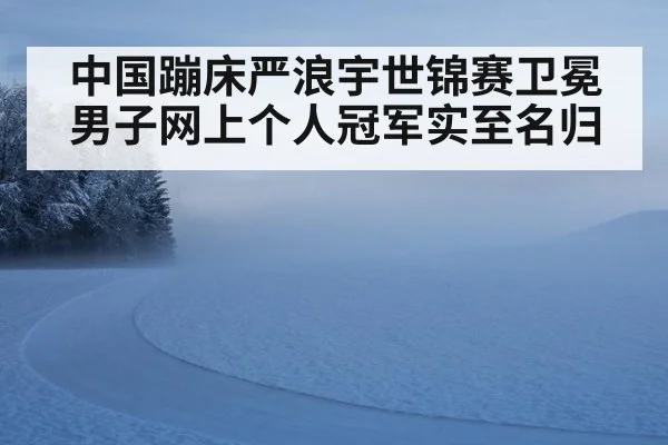 中国蹦床严浪宇世锦赛卫冕男子网上个人冠军实至名归