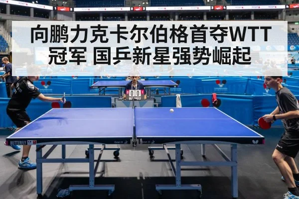 table tennis match action